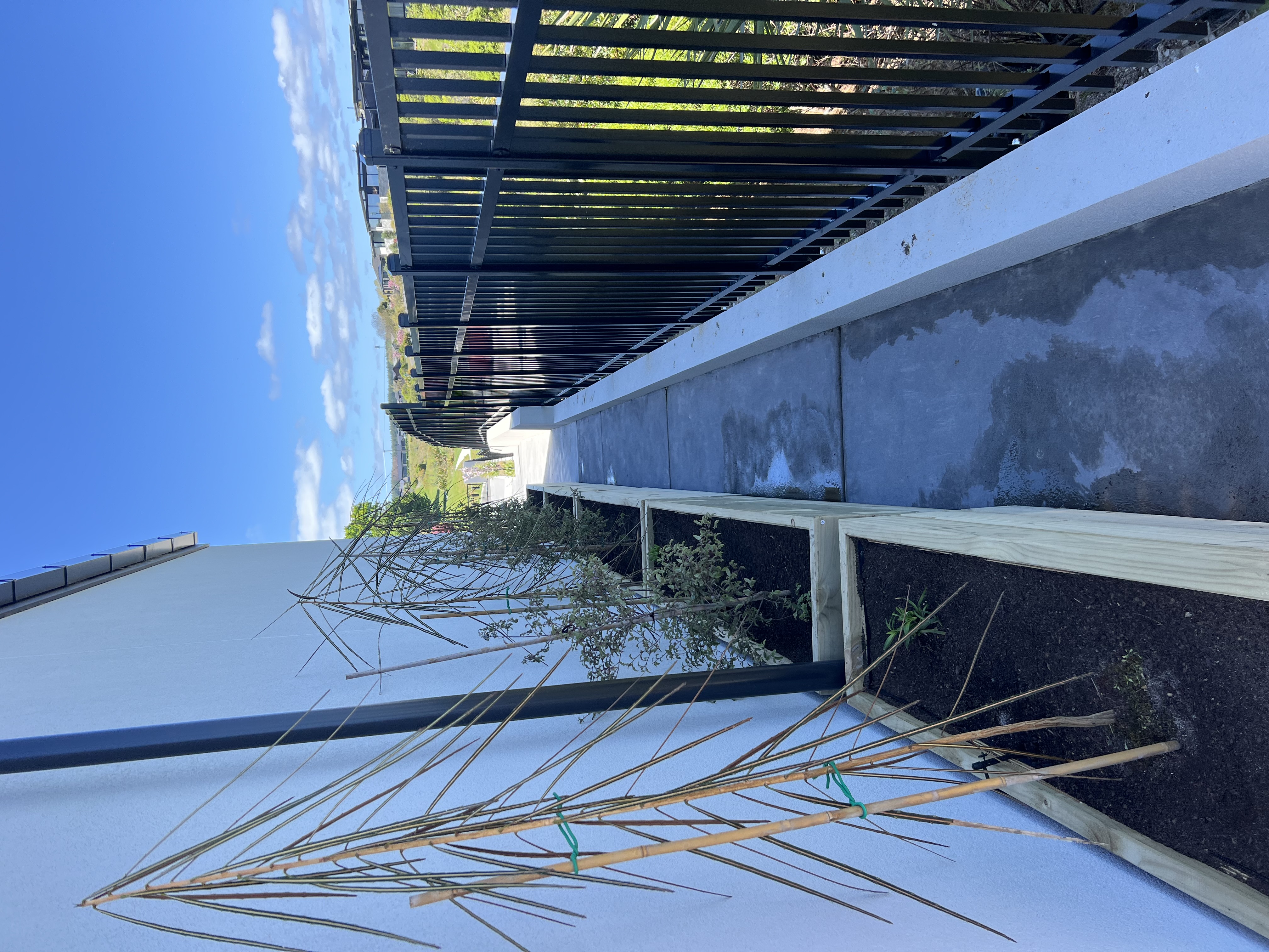 18 Chad Street — photo 24